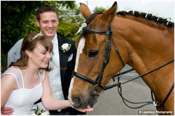 Bride and groom smiling while feeding a horse on a sunny day.